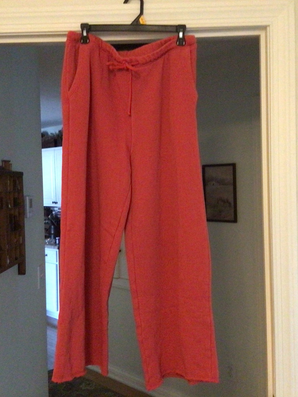 American Eagle Outfitters Coral Drawstring Wide-Leg Joggers